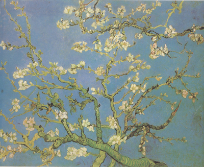 Blossoming Almond Tree (nn04)